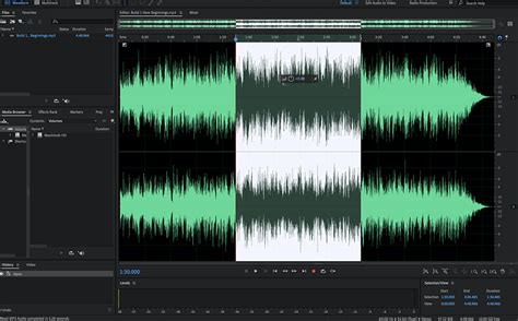 audio editing software  audio editors   situation