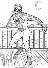 Ragno Spiderman Cartoni Cartone sketch template