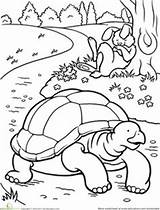 Tortoise Hare Coloring Fables Colouring La Tortuga Pages Color Clipart Activities Book Dibujos Para Drawing Tales Preschool Liebre Kids Worksheet sketch template