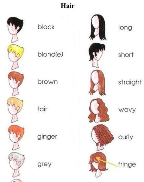 hairstyles vocabulary hairstyle names types  haircuts