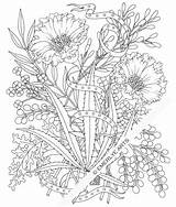 Hemp Petunias Colouring Cynthia Emerlye sketch template