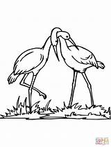 Coloring Stork Couple Pages Printable Supercoloring Valentine Color Animals Drawing Categories sketch template