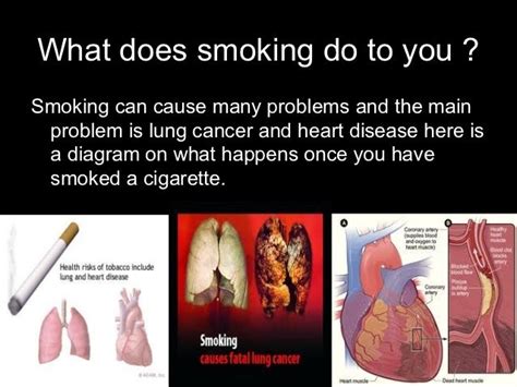 Essay Cigarette Smoking Should Banned