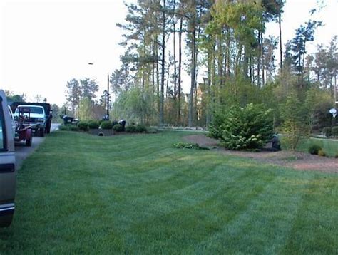 landscapers raleigh nc   landscaping