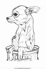 Chihuahua Animali Disegno Colorear Hunde Cani Malvorlage Cane Perro Disegnidacoloraregratis Ausmalen Schleich Tattoo Lapiz Malvorlagen Arte Salvato Cucciolo Cachorros Icu sketch template