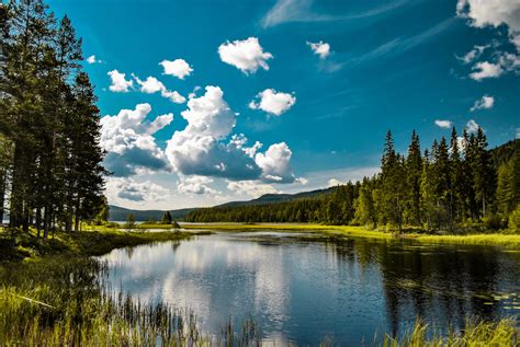 die top  nationalparks  schweden urlaubstrackerat