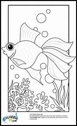 Goldfish Coloring Pages Fish Teamcolors sketch template