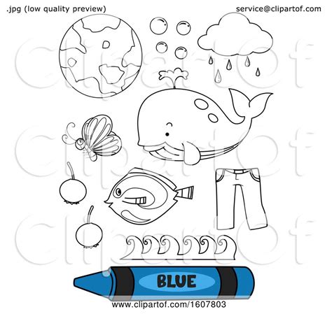 color blue coloring book illustration  bnp design studio