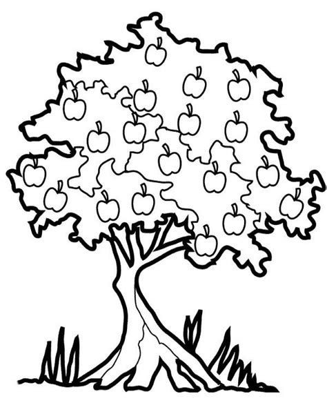 fruits coloring pages  kids kids coloring pages etsy uk