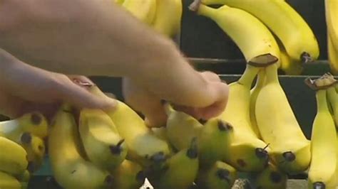 Bananas Could Be Extinct In Five Years