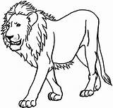 Lion Outline Clipart African Clip Coloring Library Cliparts sketch template