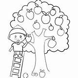 Apple Coloring Apples Picking Pages Children Ones Little Numbers Letters sketch template