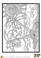 Plage Palmier Palmiers Cahier Paysage Coloriages Hugolescargot Hugo Adulte Cocotier Enfants sketch template
