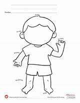 Kindergarten Worksheets Body Parts Printable Worksheet Spanish Visual Discrimination Preschool Printables Worksheeto Color Tracing Via Grade Class Choose Board Learning sketch template