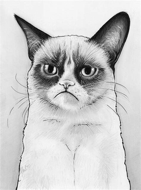 grumpy cat coloring page  svg file  diy machine