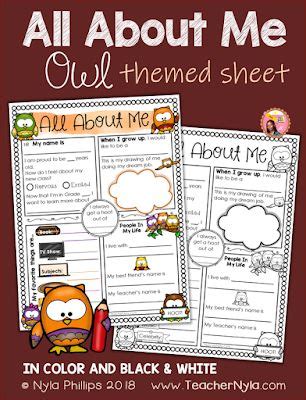 owl themed    writing sheet owl theme classroom owl