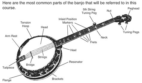 play  banjo  beginner banjo lesson  tab