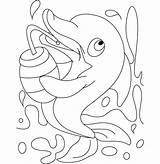 Coloring Pages Dolphin Tale Sip Drink Which Experience Making Print Getdrawings Dolphins sketch template