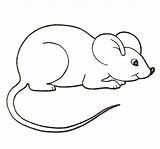 Mouse Coloring Pages Clipart Color Colouring Mice Printable House Cute Paint Rato Para Kids Desenho Drawing Crafts Colorir Supercoloring Google sketch template