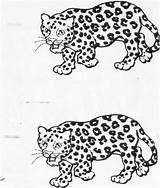 Jaguar Coloring Baby Pages Drawing Clipart Getdrawings Popular Library Coloringhome sketch template