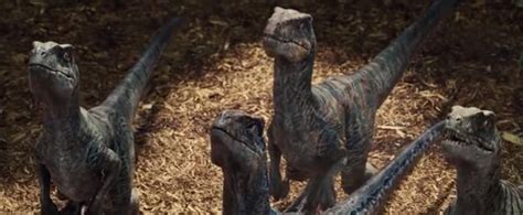 The Raptors In Jurassic World During Filming Jurassic