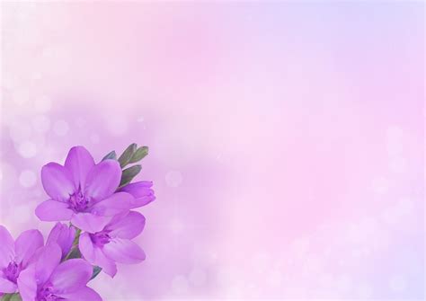 background image flower flowersjpg graphicplace