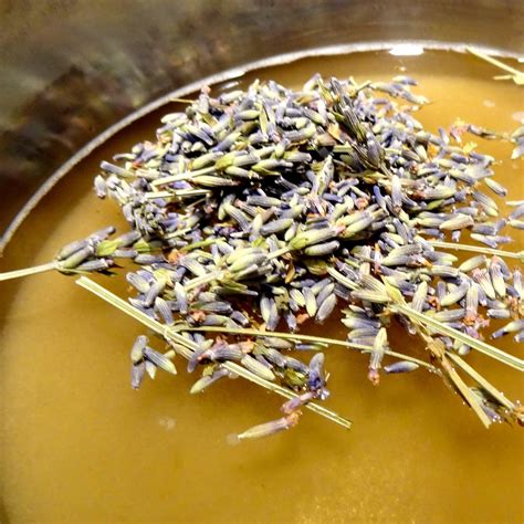 lavender simple syrup recipe