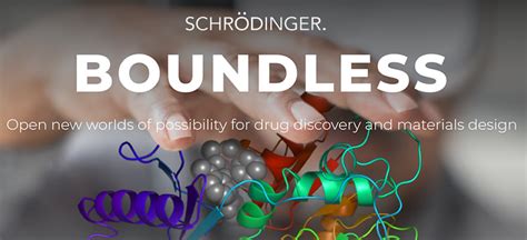 schrodinger sdgr  drug discovery   space age citron research
