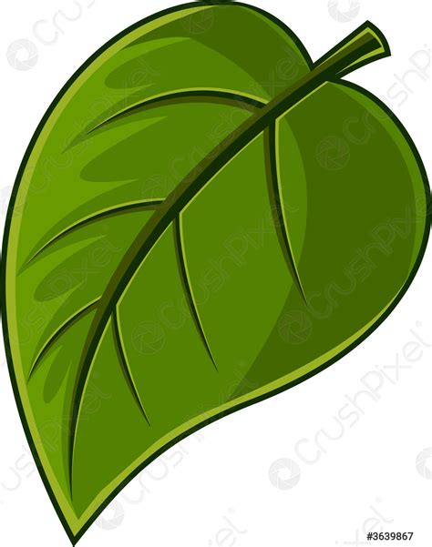 planta de dibujos animados planta de hoja verde planta verde icono sexiz pix