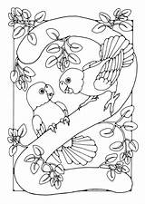 Zahl Cijfer Disegno Colorare Cifra Ptaki Kolorowanki Rechnen Ausmalbilder Afbeelding Educolor Schoolplaten sketch template