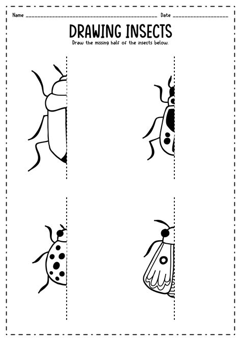sheenaowens insect worksheets  kids