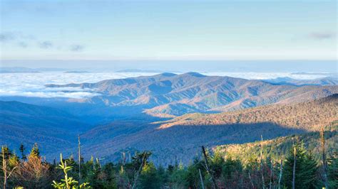 great smoky mountains national park vacations  package save