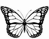 Butterfly Coloring Pages Wings Monarch Template sketch template