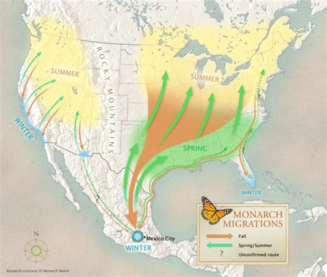 monarch migration route map