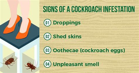 the ultimate guide to cockroach prevention in singapore