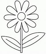 Coloring Daisy Pages Flower Online sketch template