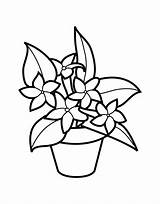 Bestcoloringpagesforkids Flowerpot sketch template