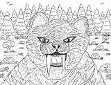 Smilodon Pages Fatalis Coloring January Forest Near Template sketch template
