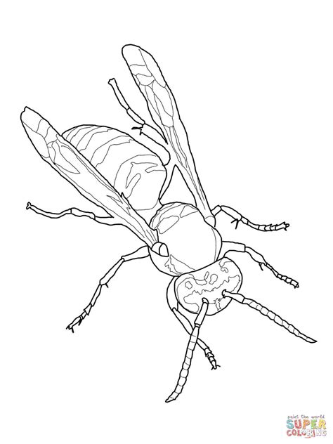 yellow jacket coloring sheet coloring pages