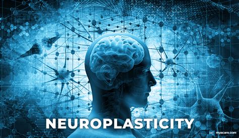 what is neuroplasticity mya care