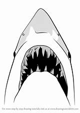 Jaws Sharks Drawingtutorials101 Jaw Template Vectorified sketch template