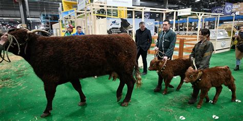 year    agricultural show finds  audience