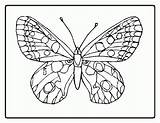 Butterfly Butterflies Colouring Schmetterling Coloringhome sketch template
