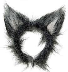 resultado de imagen     wolf ears wolf ears werewolf