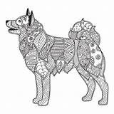 Dog Coloring Illustration Vector Akita Zentangle Schnauzer Head Adult Stylized Animal Drawing Drawn Hand Zen Antistress Children Puppy Dogs Getdrawings sketch template