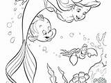 Pages Coloring Sebastian Little Mermaid Flounder Getcolorings Getdrawings sketch template