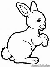 Gambar Kelinci Mewarnai Kartun Mewarnaigambar Lapin Juga Disediakan Kalian Kepada Bagikan Suka Dengan Bambi sketch template