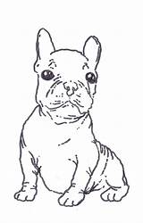 Bulldog Kiezen Coloringhome sketch template