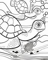 Colouring Kids Pages Coloring Printable Summer Turtle Long Sheets Fun Print Scentos Sea Days Animal Cute Turtles Choose Board sketch template
