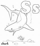 Coloring Pages Shark Worksheets Printable Kids Preschool Alphabet Activities Theme Teach Child Read sketch template